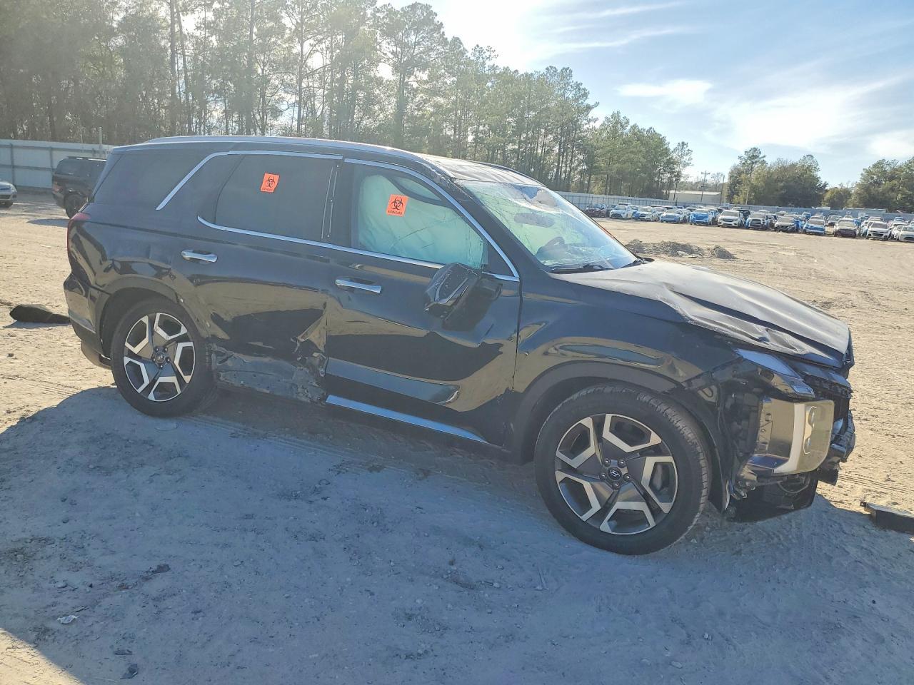 2023 Hyundai Palisade Limited - Фото 4