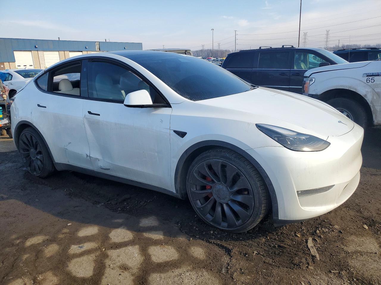 2023 Tesla Model Y - Фото 4
