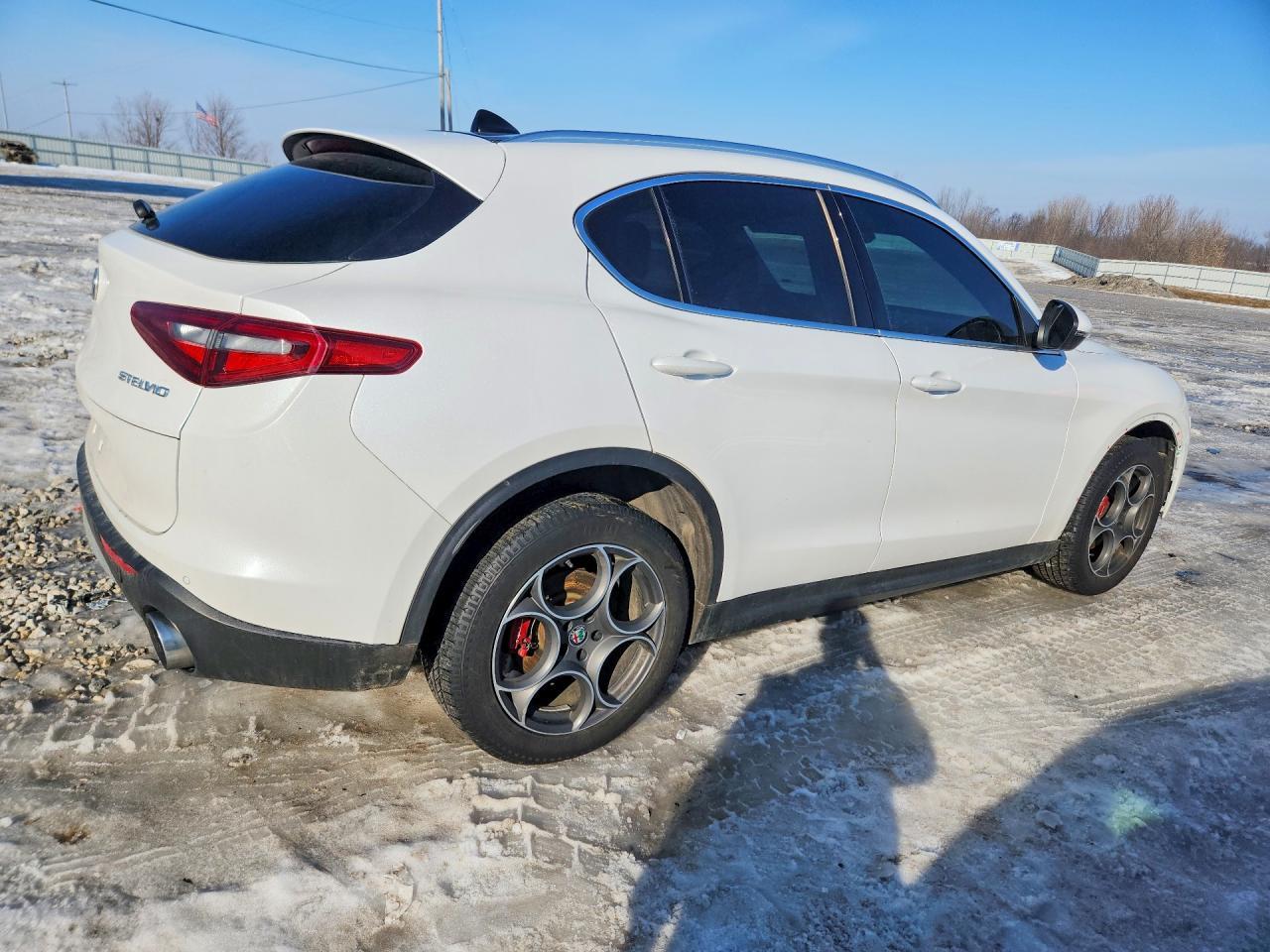 2018 Alfa Romeo Stelvio Ti Luxury - Фото 3