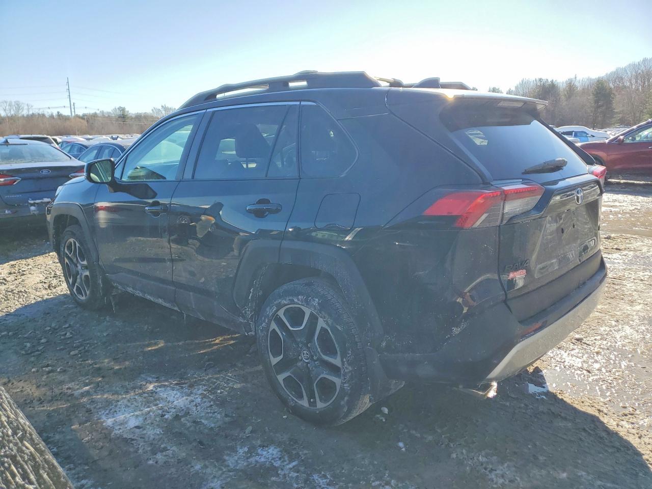 2019 Toyota Rav4 Adventure - Фото 2