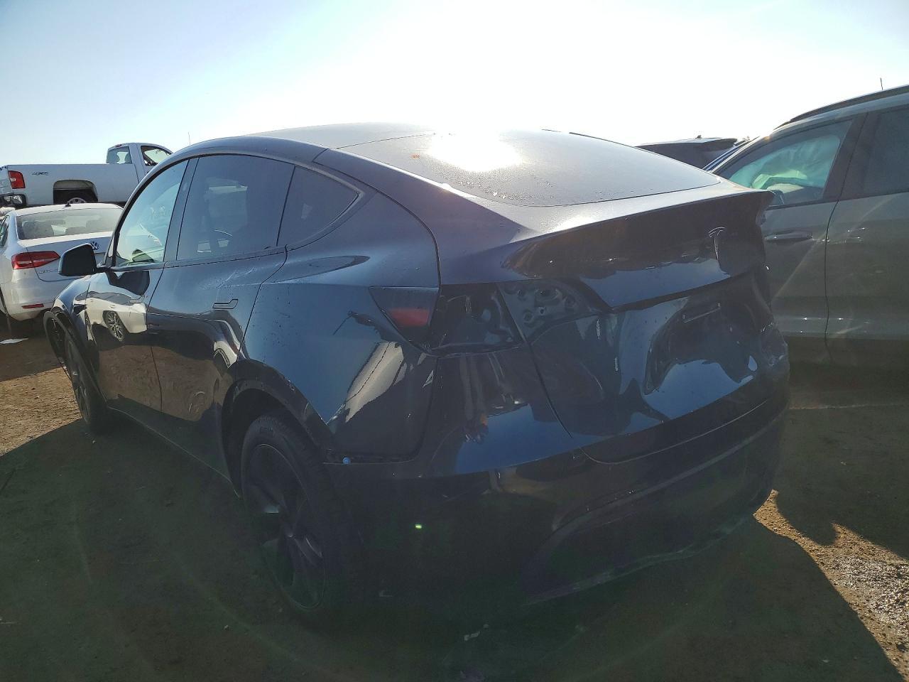 2024 Tesla Model Y - Фото 2