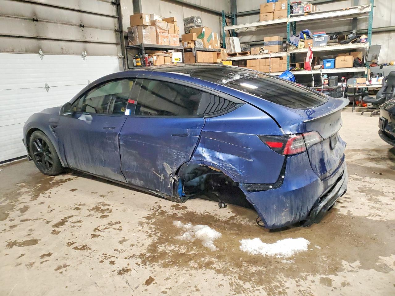 2023 Tesla Model Y - Фото 2