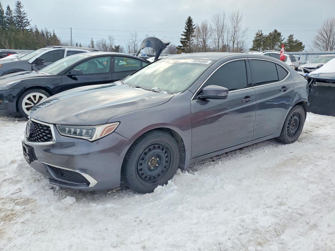 2019 Acura Tlx Technology