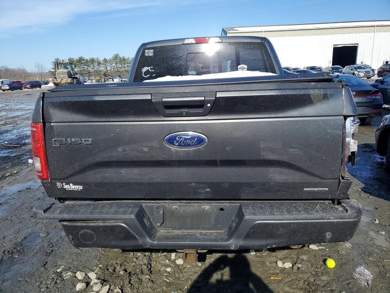 2016 Ford F150 Supercrew - Image 6