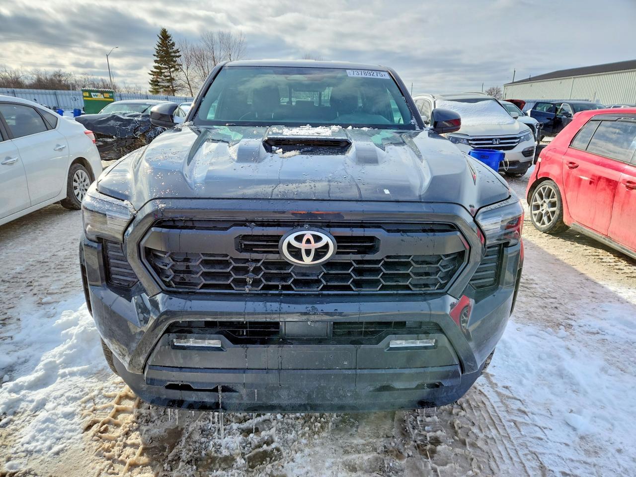 2024 Toyota Tacoma Double Cab - Фото 5