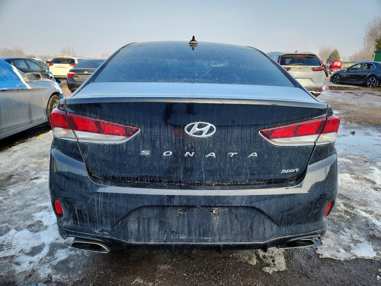 2019 Hyundai Sonata Limited 4Dr - Image 6