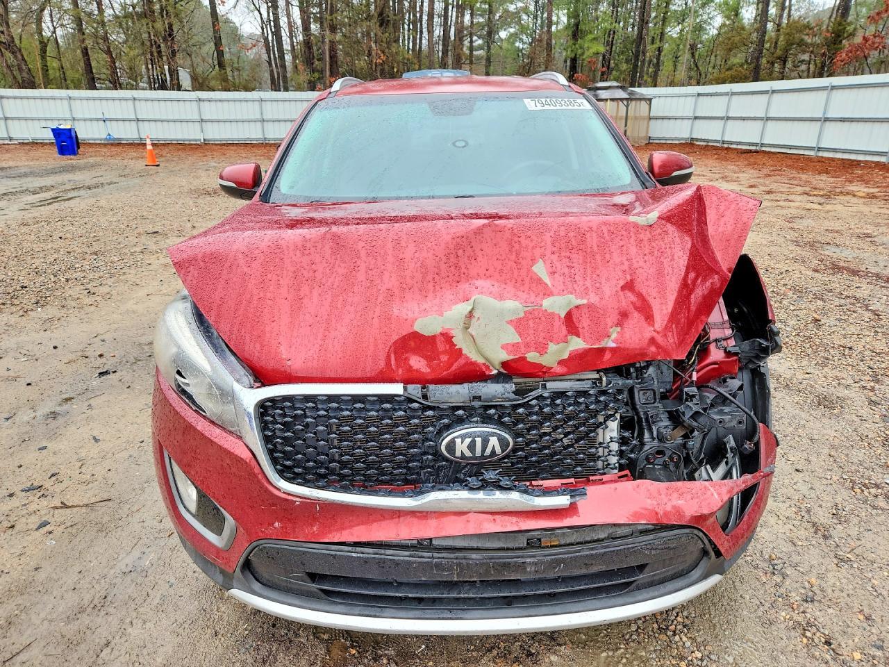 2016 Kia Sorento Ex V6 - Фото 5