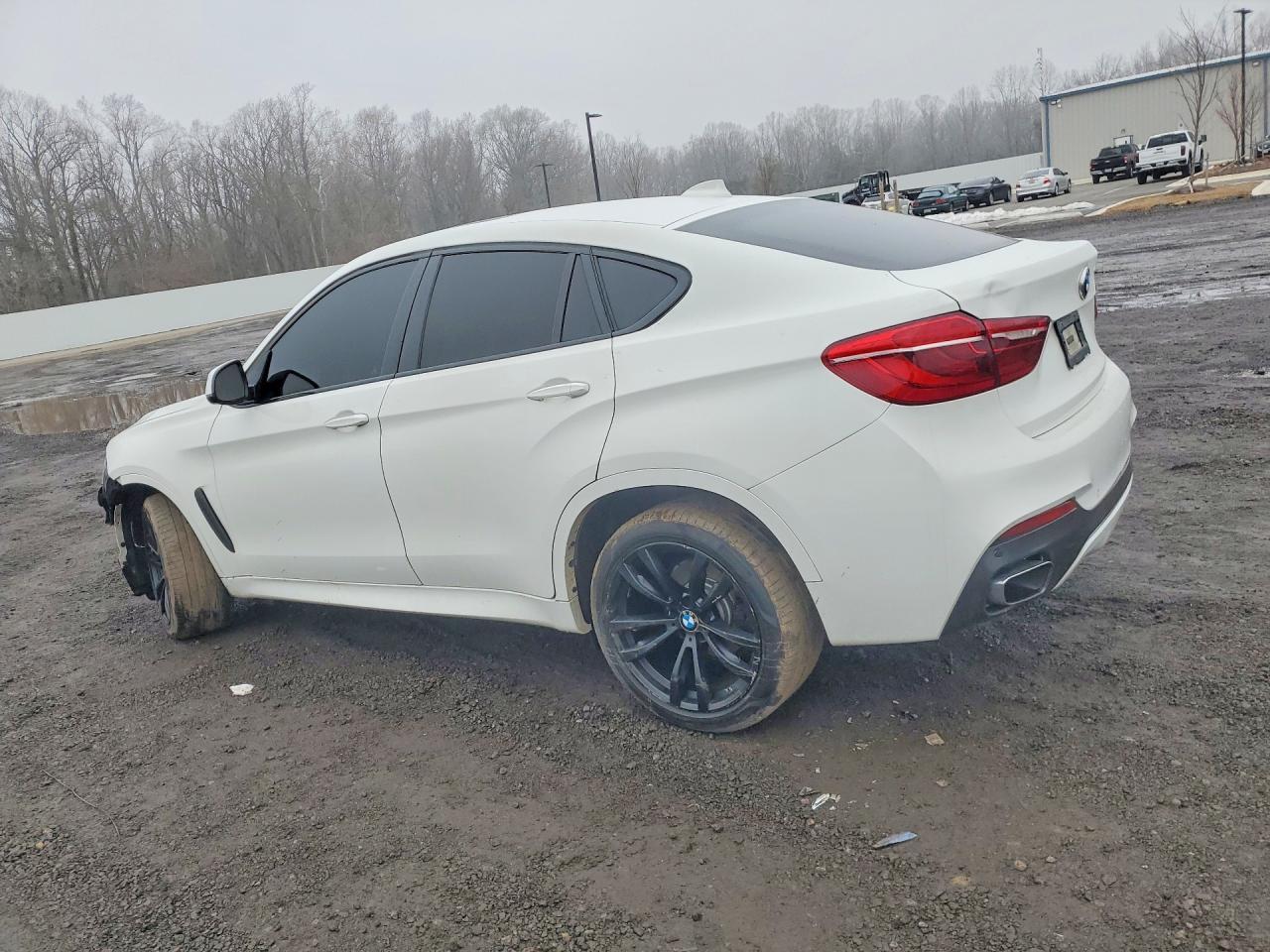 2016 BMW X6 xDrive35I - Фото 2