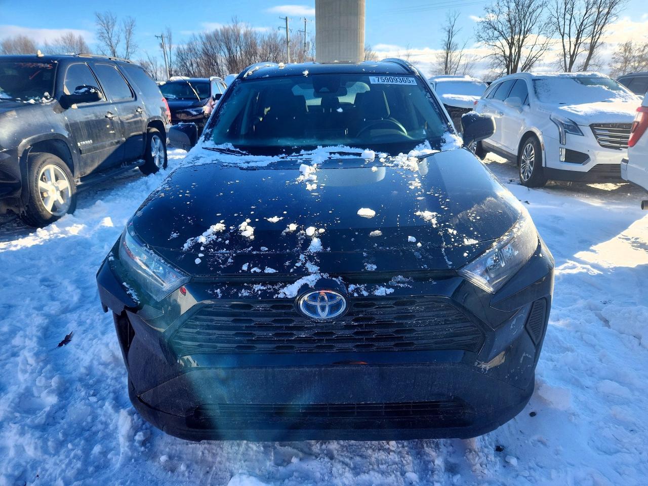 2022 Toyota Rav4 Le - Фото 5