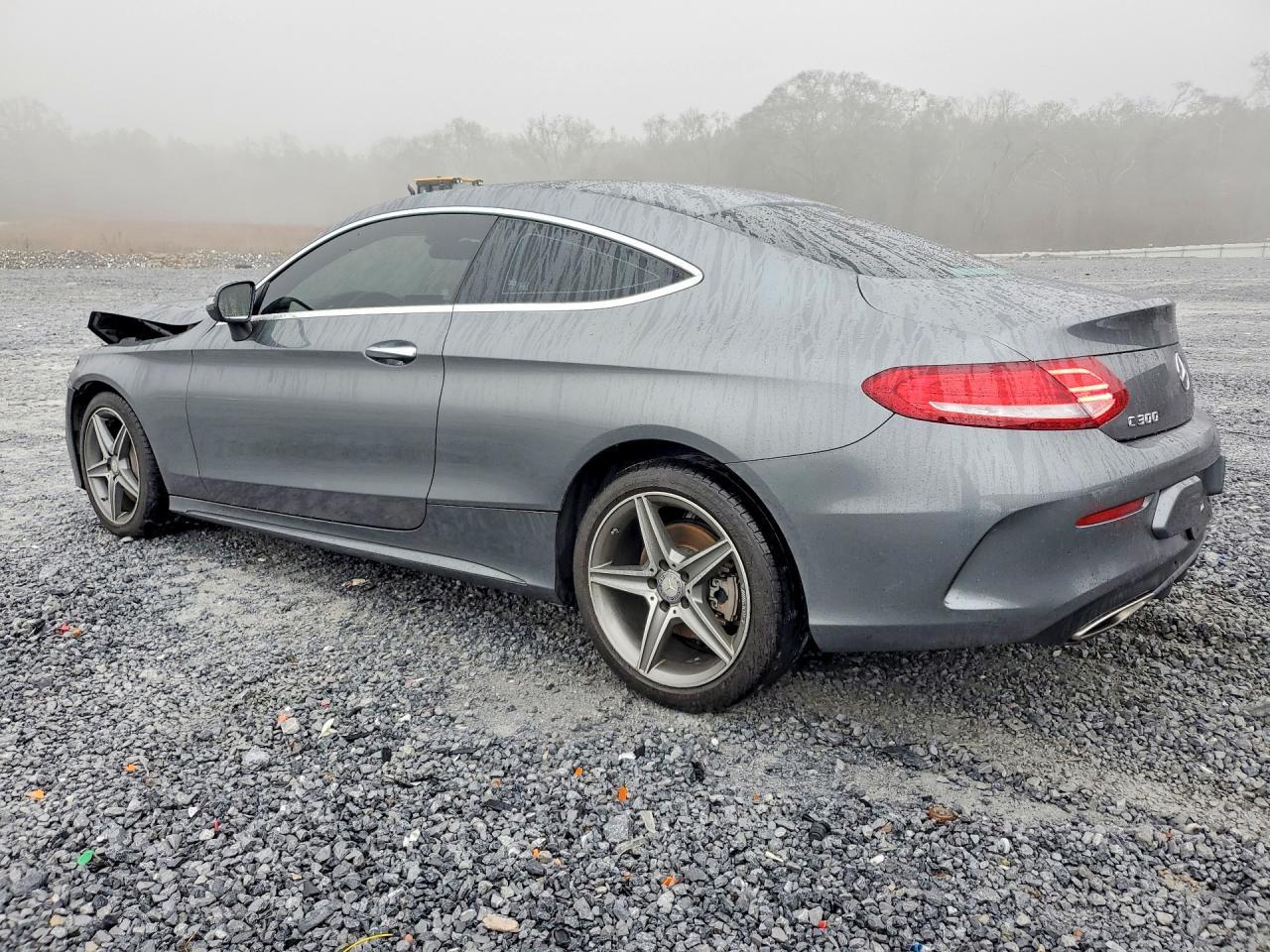 2017 Mercedes-Benz C 300 - Image 2