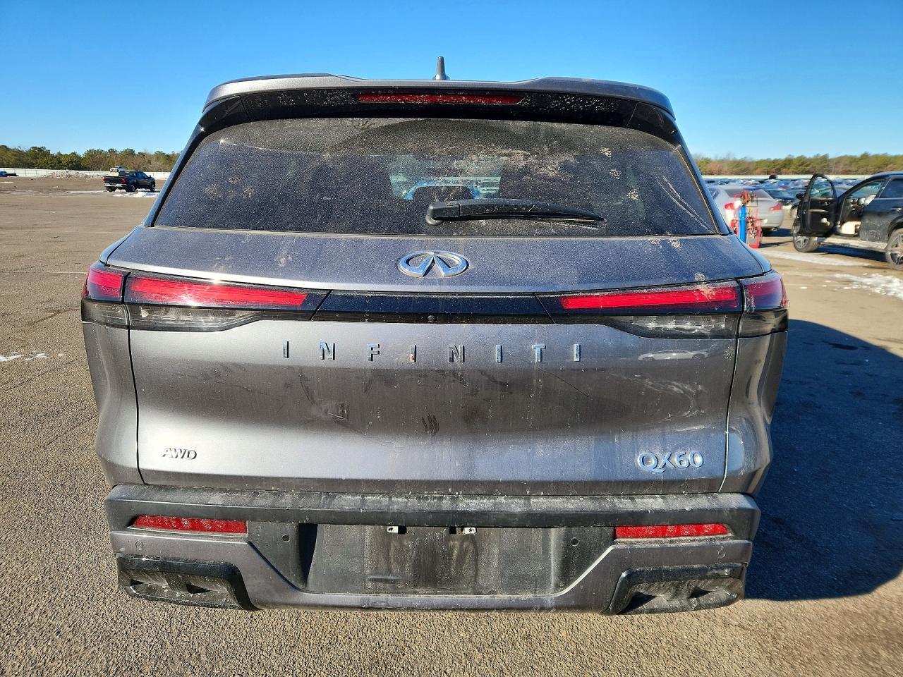 2023 Infiniti Qx60 Pure - Фото 6