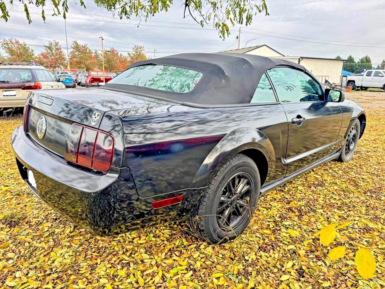 2006 Ford Mustang - Image 4