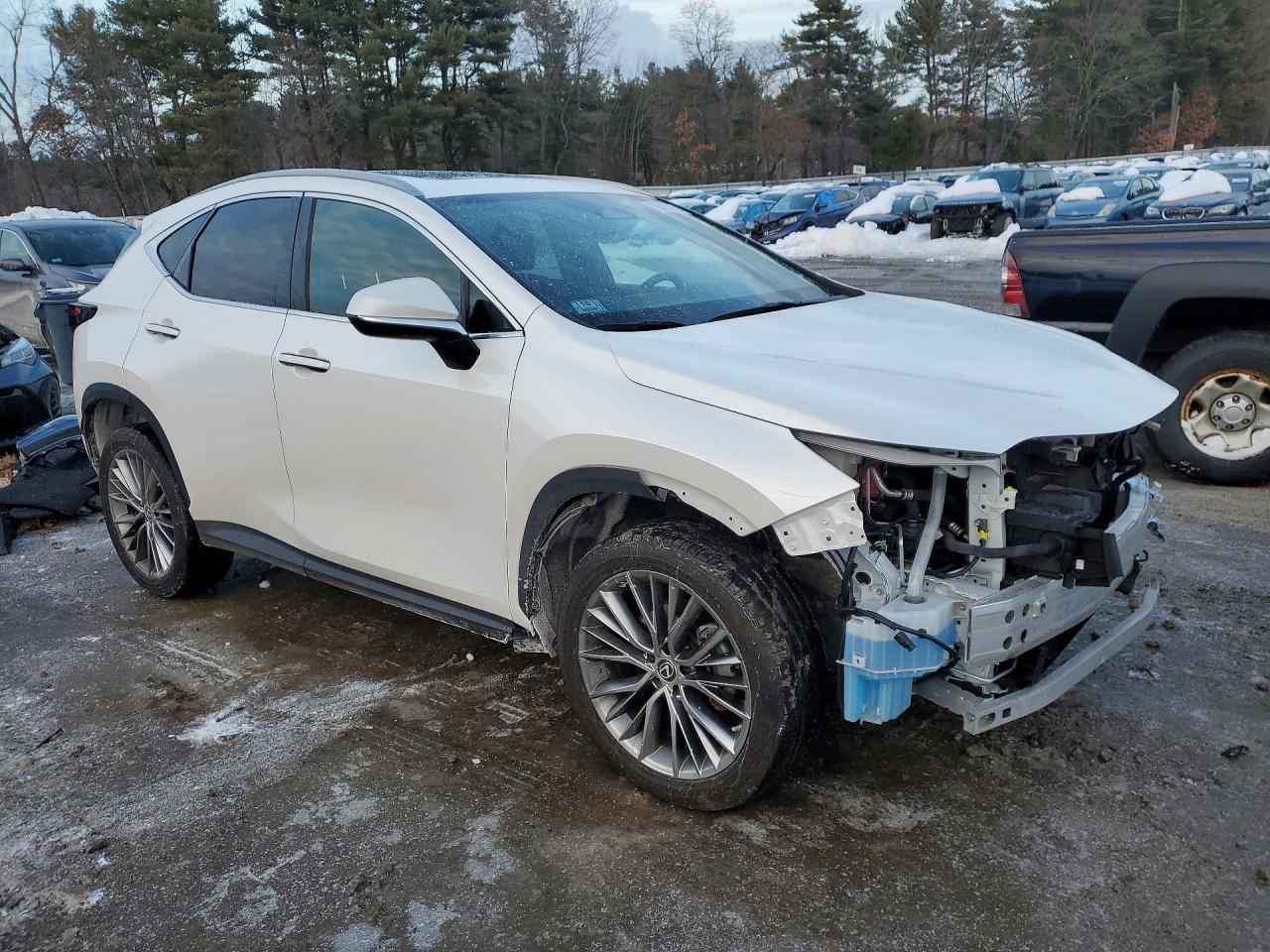 2023 Lexus Nx 350H - Фото 4