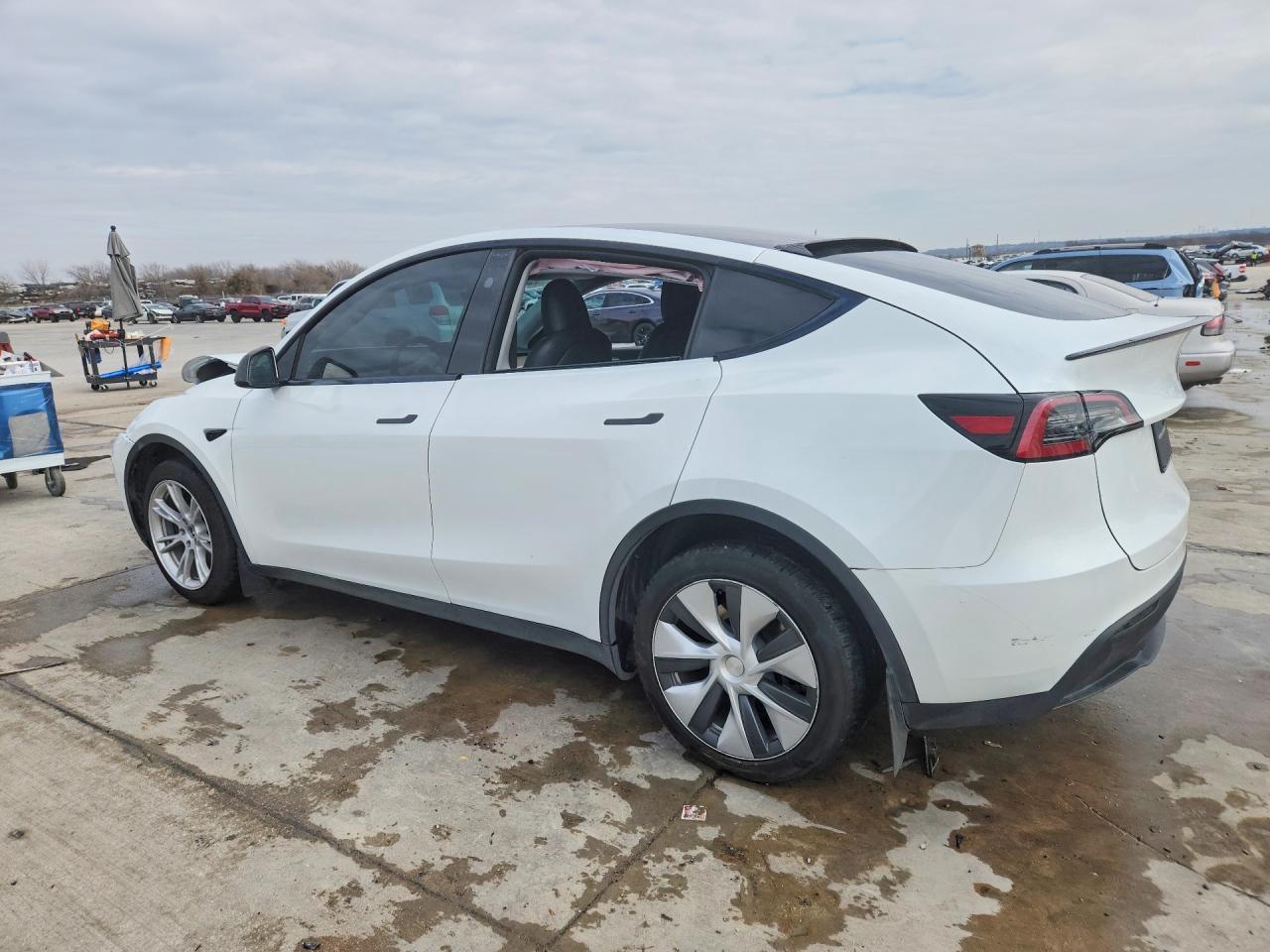 2023 Tesla Model Y - Фото 2