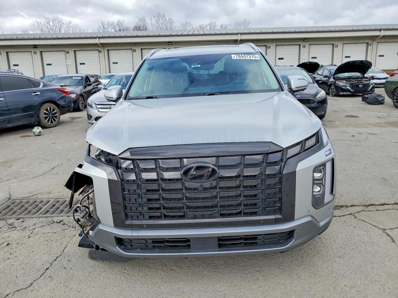 2024 Hyundai Palisade Limited - Фото 5