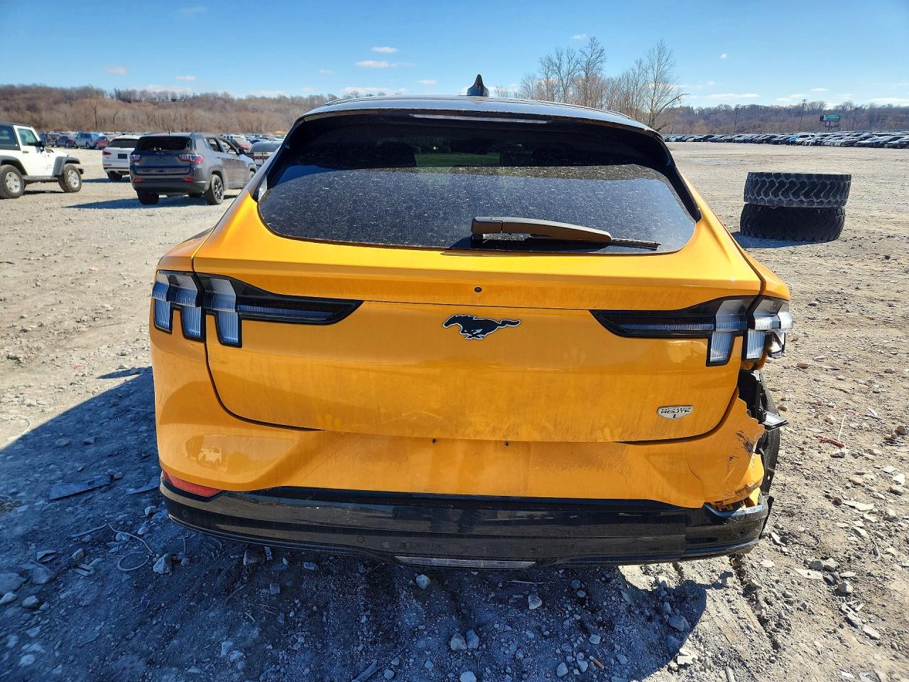 2023 Ford Mustang Mach-E California Route 1 - Фото 6