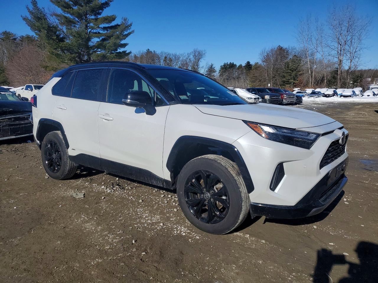 2024 Toyota Rav4 Xse - Image 4