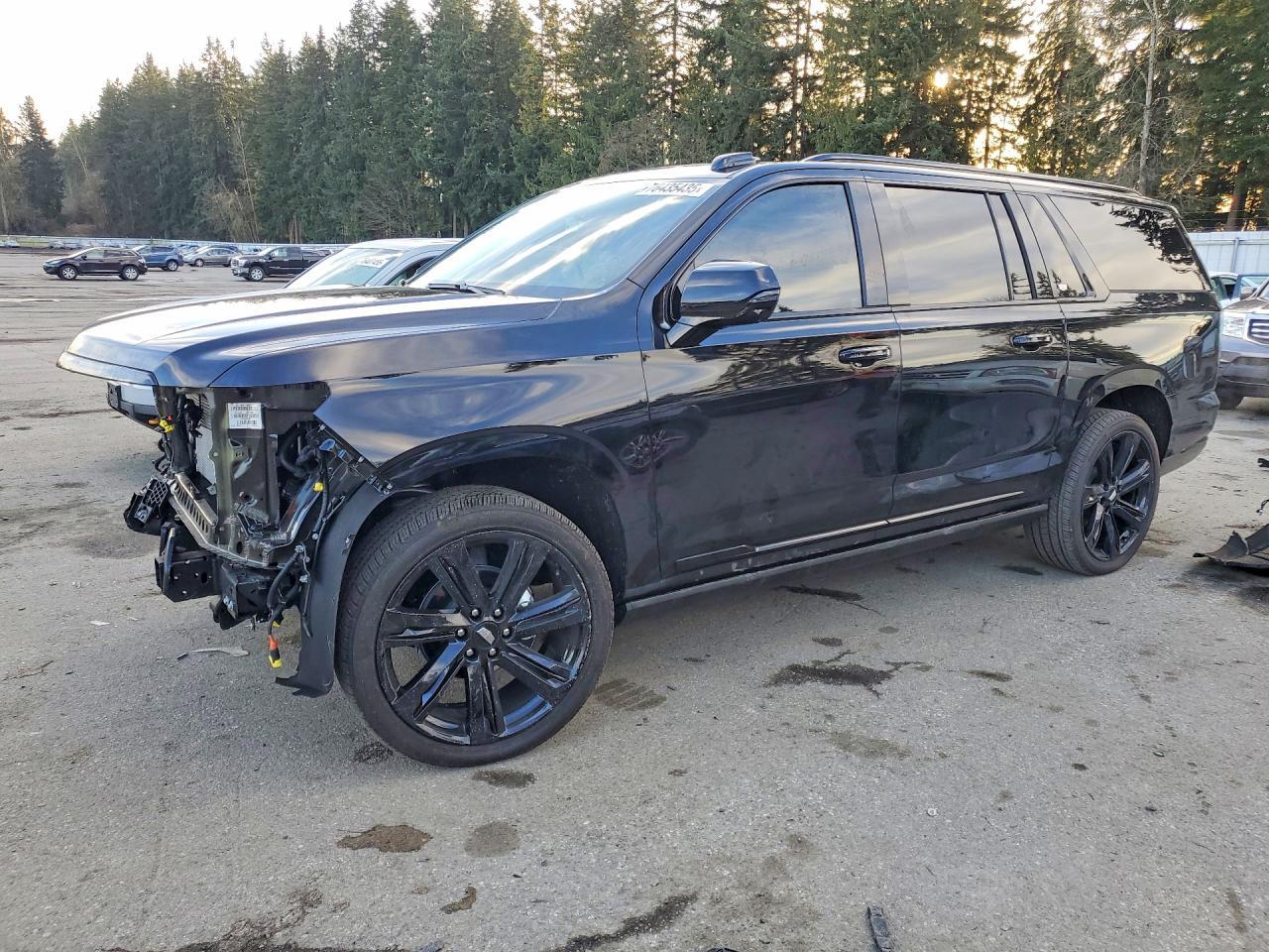 2025 Cadillac Escalade Esv Sport Platinum