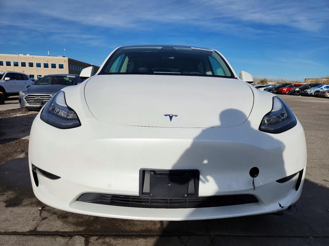 2021 Tesla Model Y - Фото 5