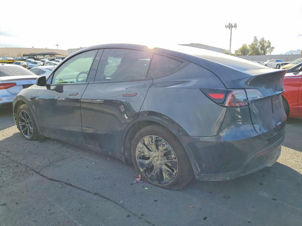 2025 Tesla Model Y - Фото 2