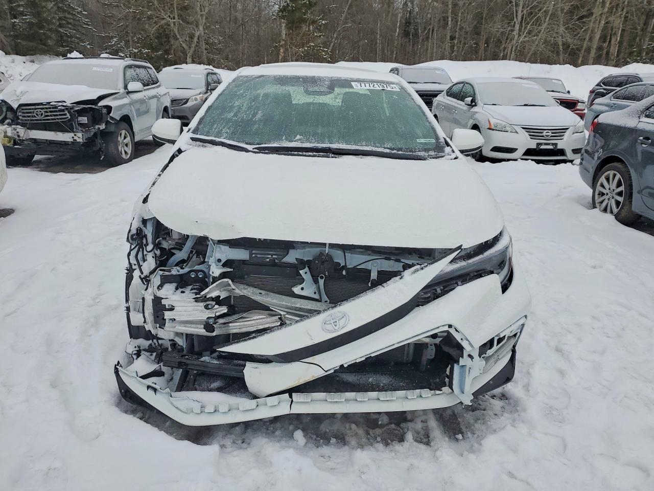 2026 Toyota Corolla Le - Image 5