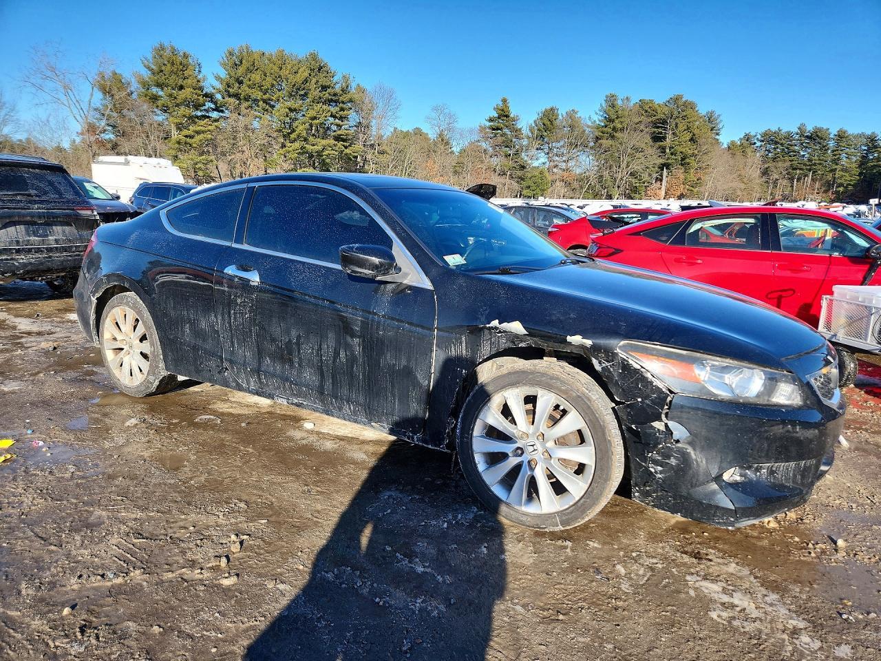 2009 Honda Accord Exl - Фото 4