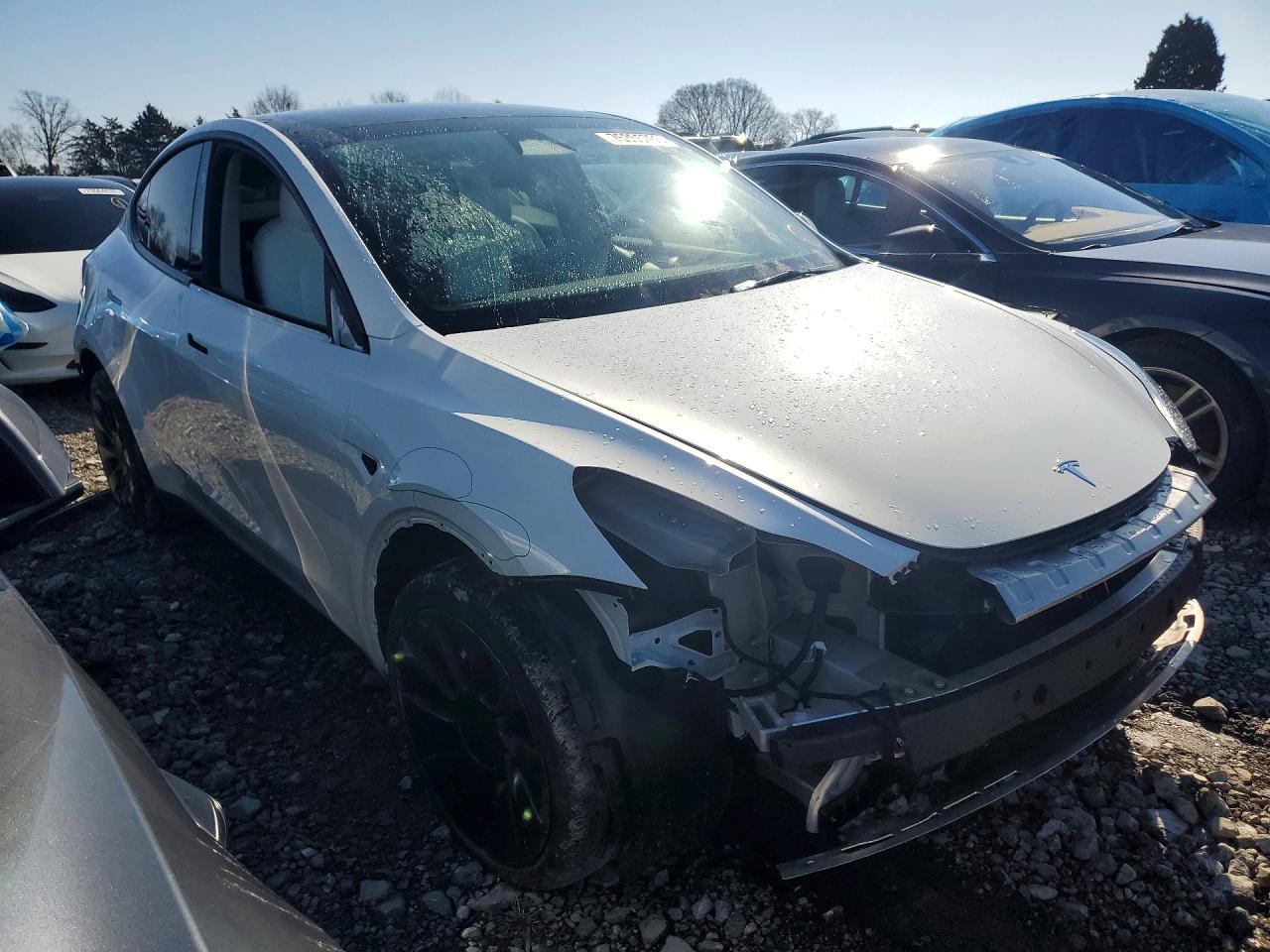 2023 Tesla Model Y - Image 4