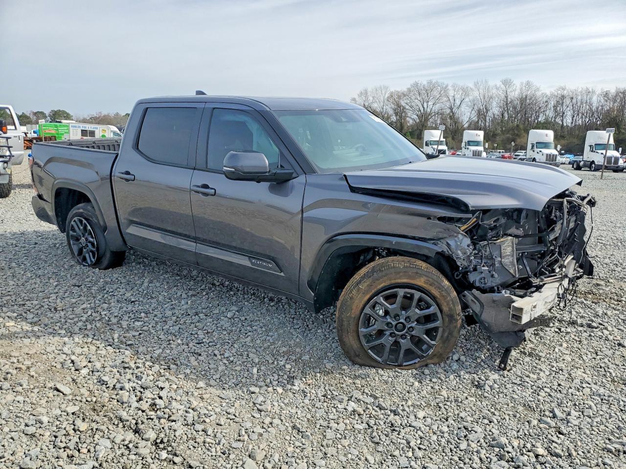 2024 Toyota Tundra Platinum - Фото 4