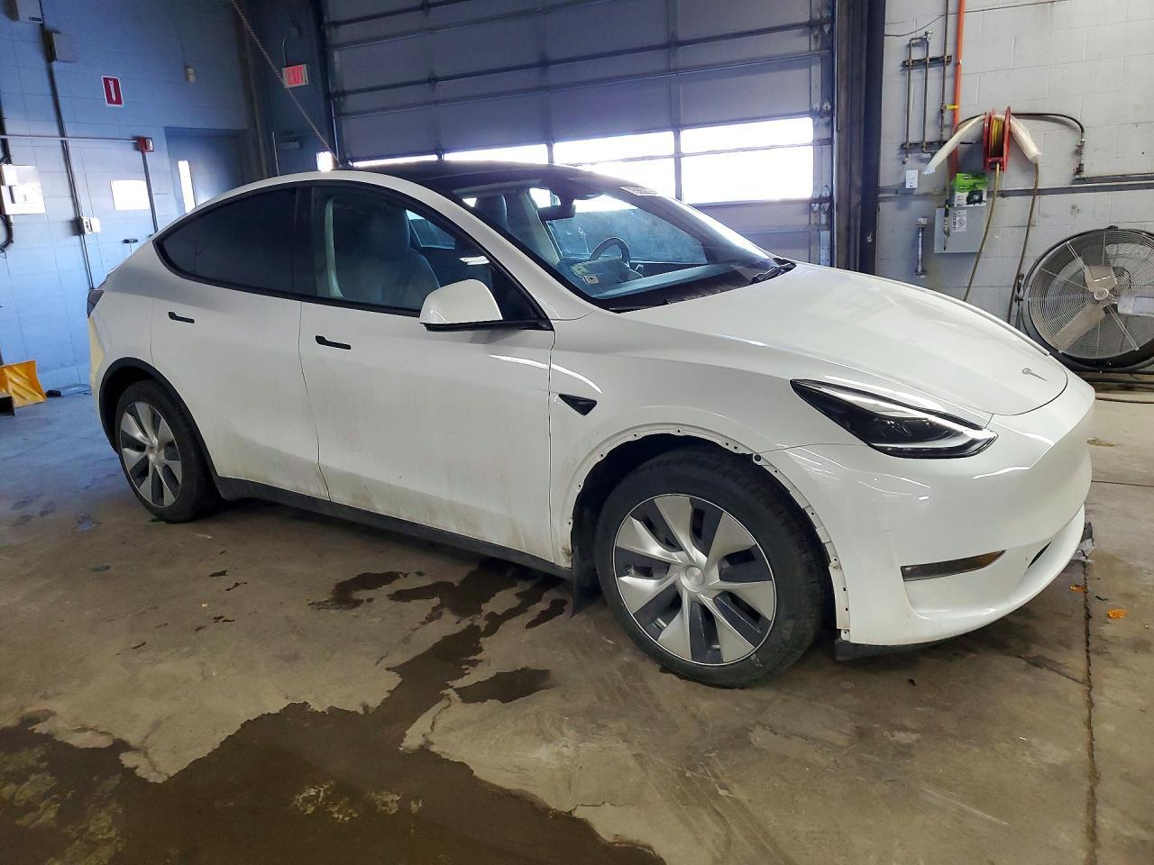 2023 Tesla Model Y - Фото 4