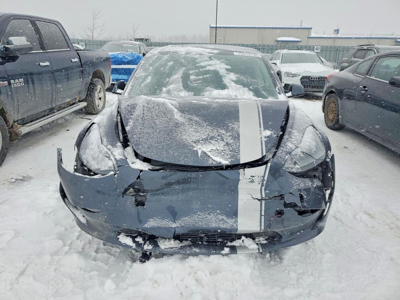2023 Tesla Model 3 - Фото 5