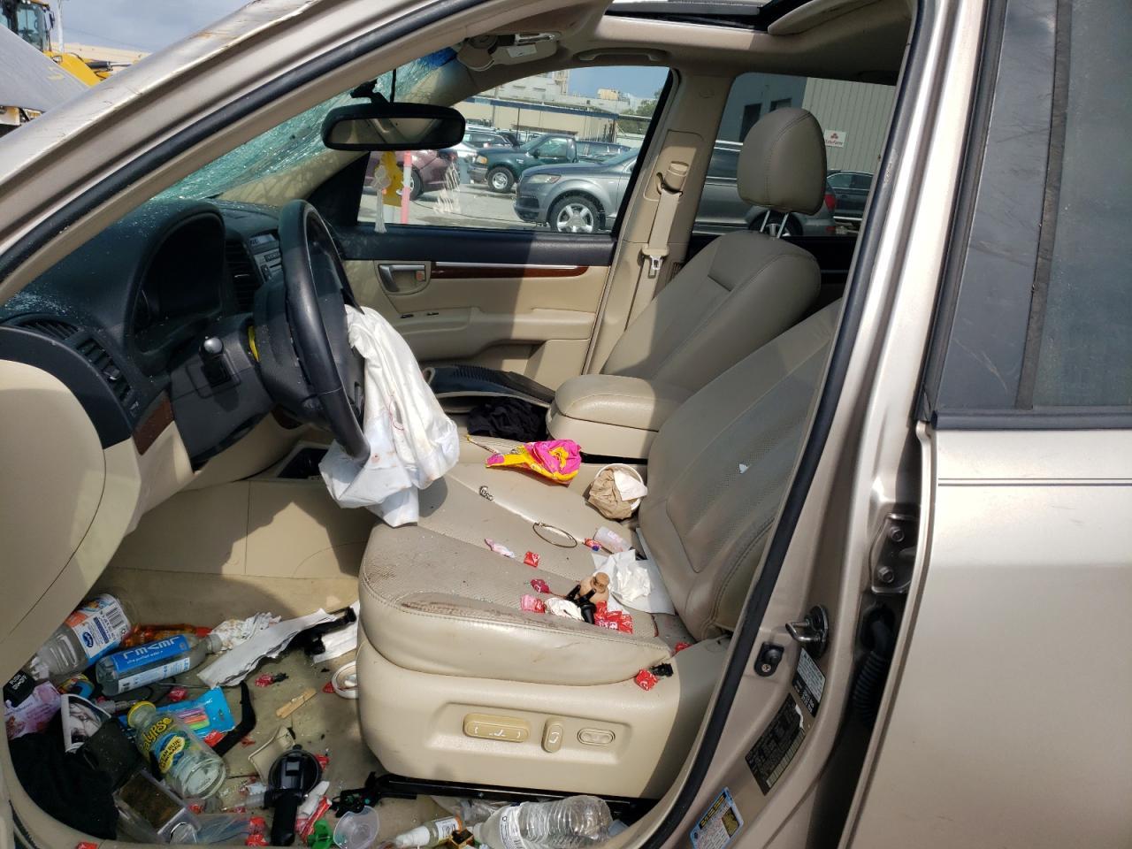 2007 Hyundai Santa Fe Se - Фото 7