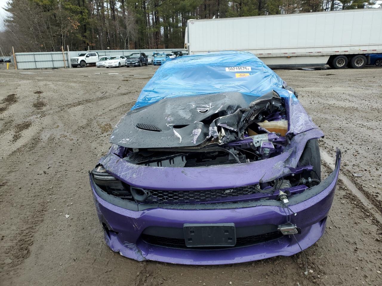 2019 Dodge Charger Srt Hellcat - Фото 5