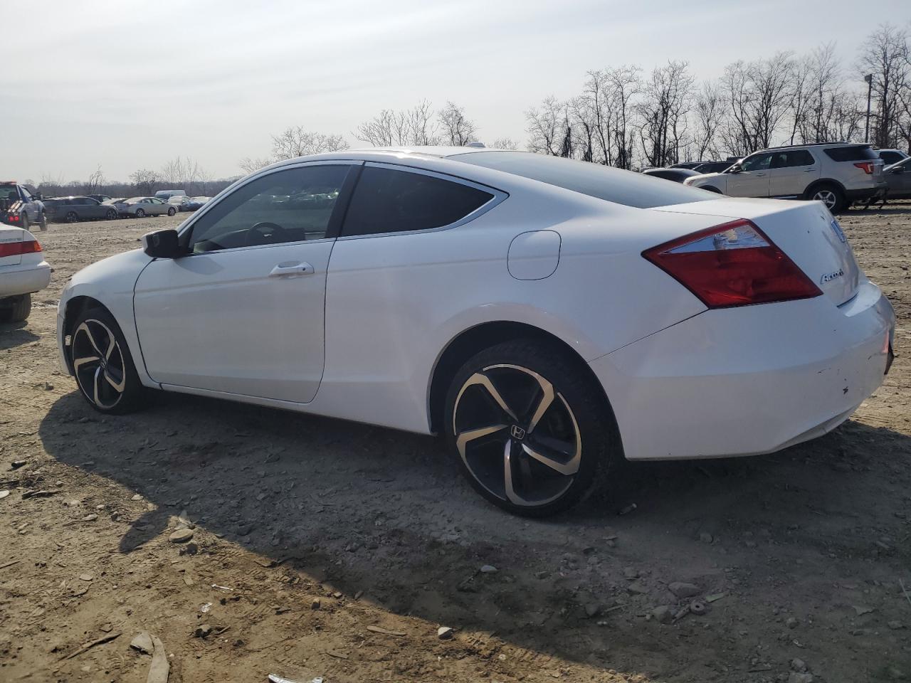 2008 Honda Accord Exl - Фото 2