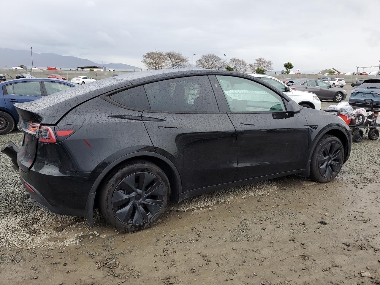 2024 Tesla Model Y - Фото 3
