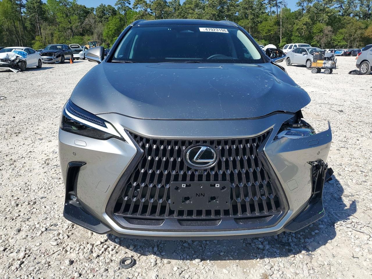 2026 Lexus Nx 350H Luxury - Фото 5
