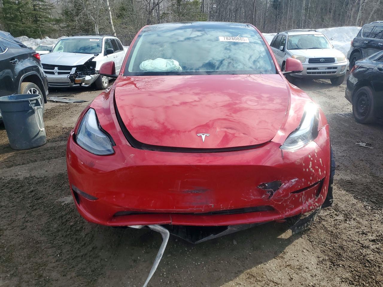 2023 Tesla Model Y - Фото 5
