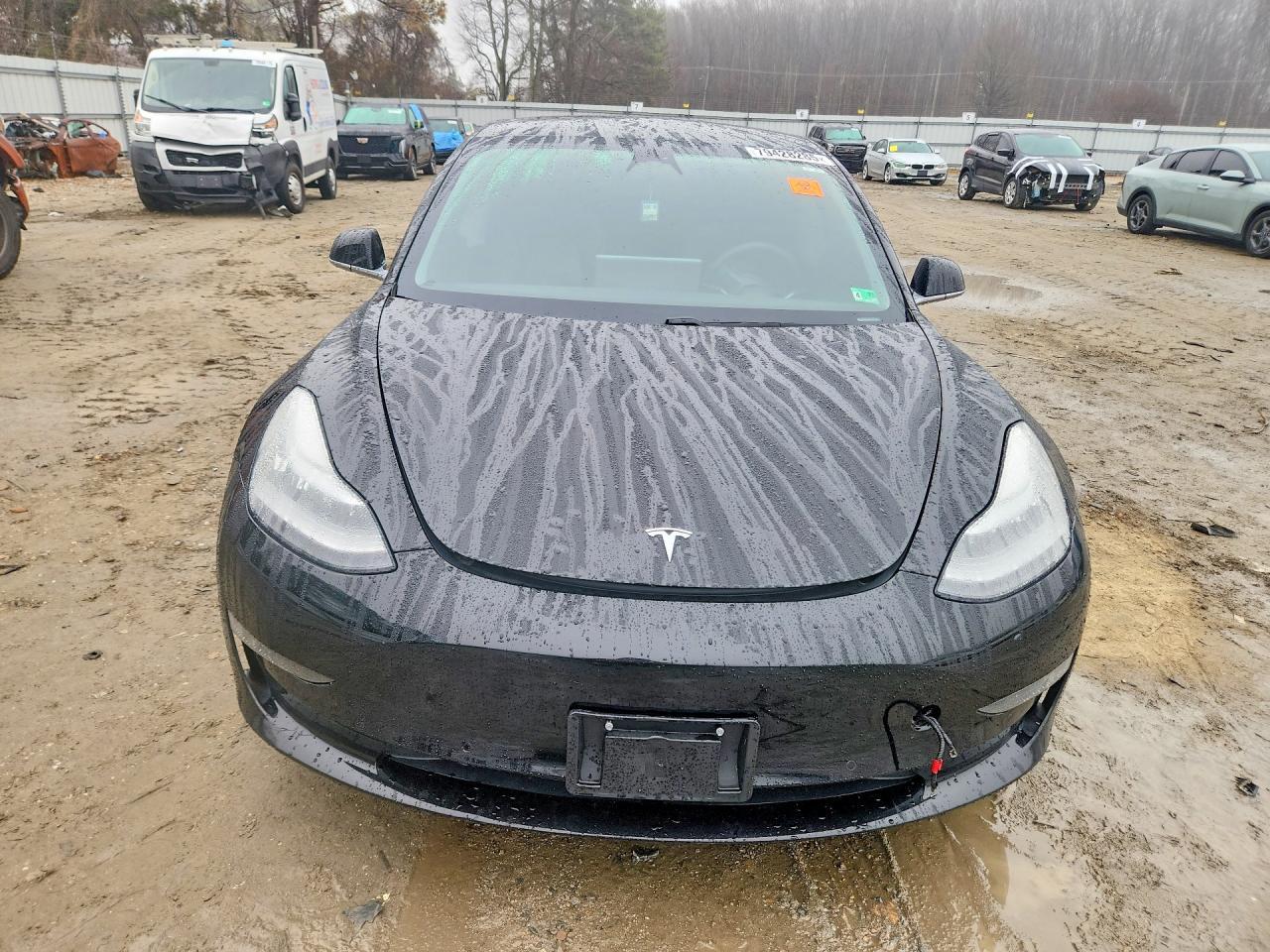 2019 Tesla Model 3 - Фото 5
