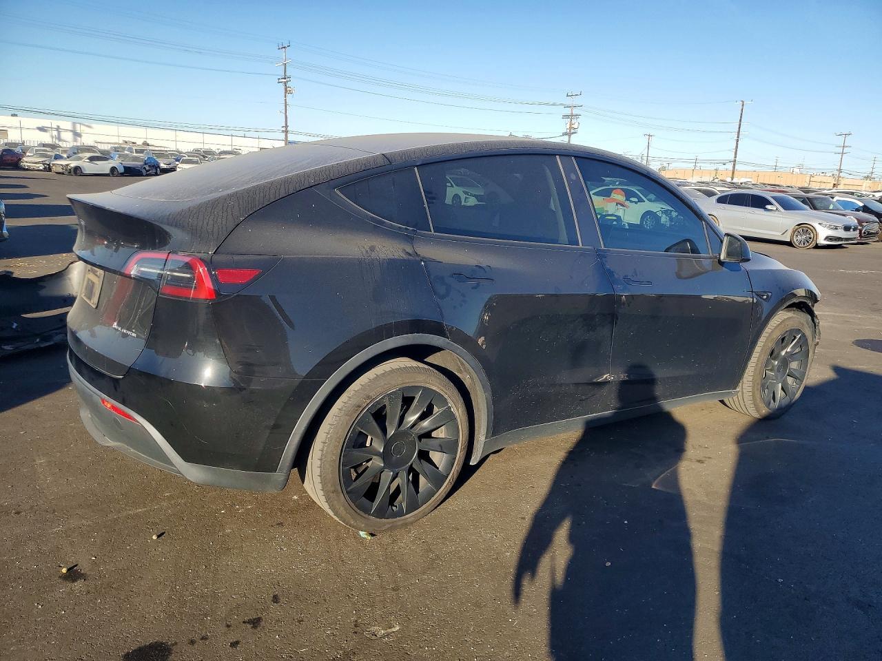 2023 Tesla Model Y - Фото 3