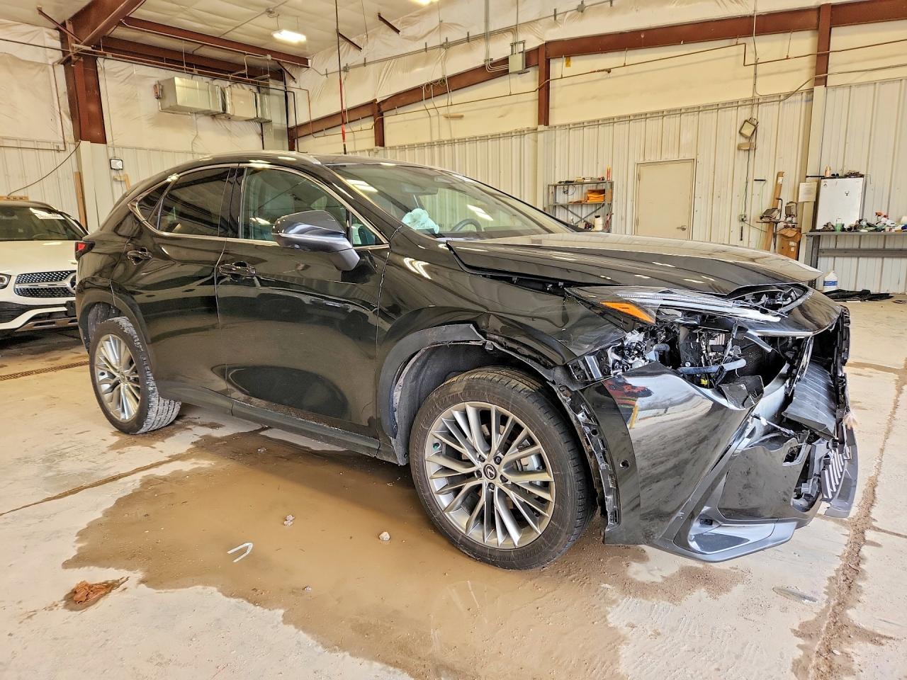 2024 Lexus Nx 350H Luxury - Image 4