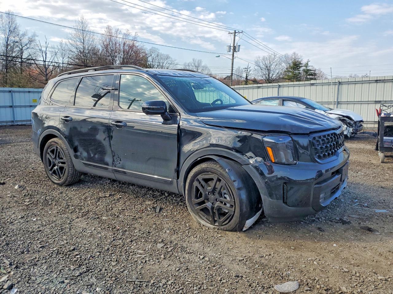 2025 Kia Telluride Sx X-Line - Фото 4