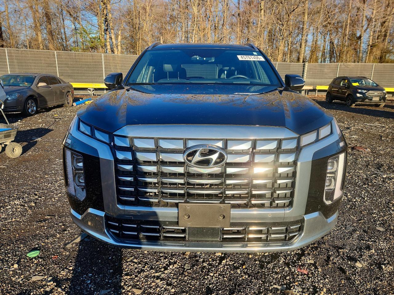2024 Hyundai Palisade Calligraphy - Фото 5