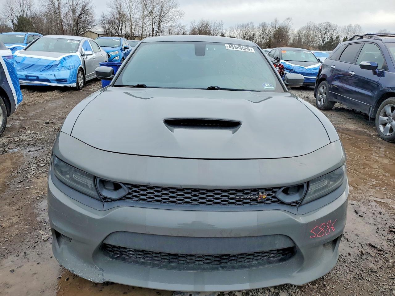 2019 Dodge Charger Scat Pack - Фото 5