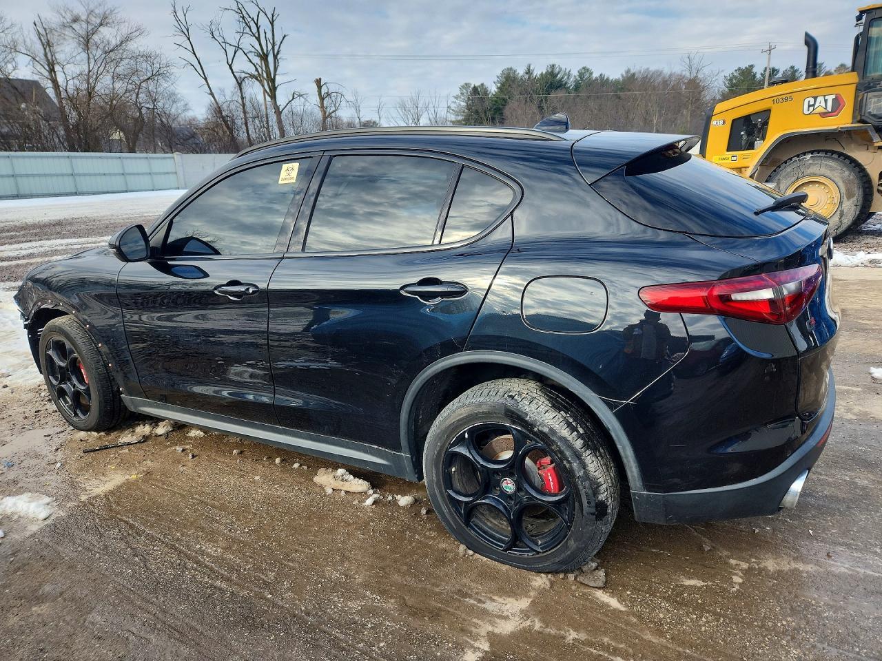 2018 Alfa Romeo Stelvio Sport - Фото 2