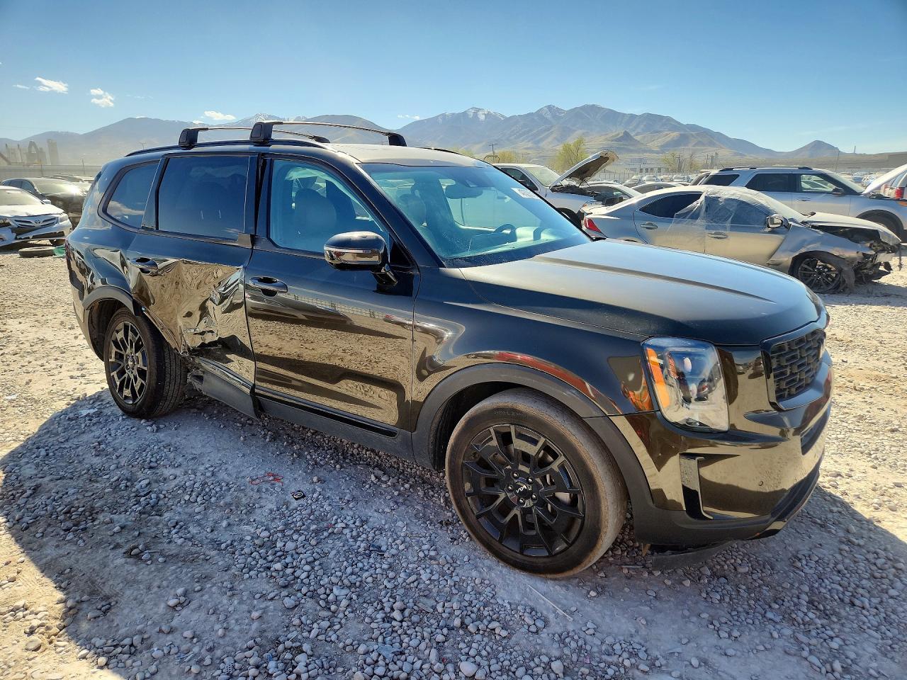 2022 Kia Telluride Sx - Фото 4