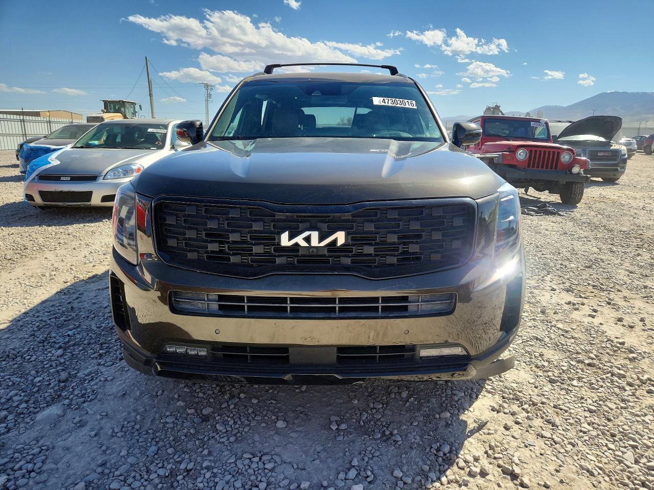 2022 Kia Telluride Sx - Фото 5