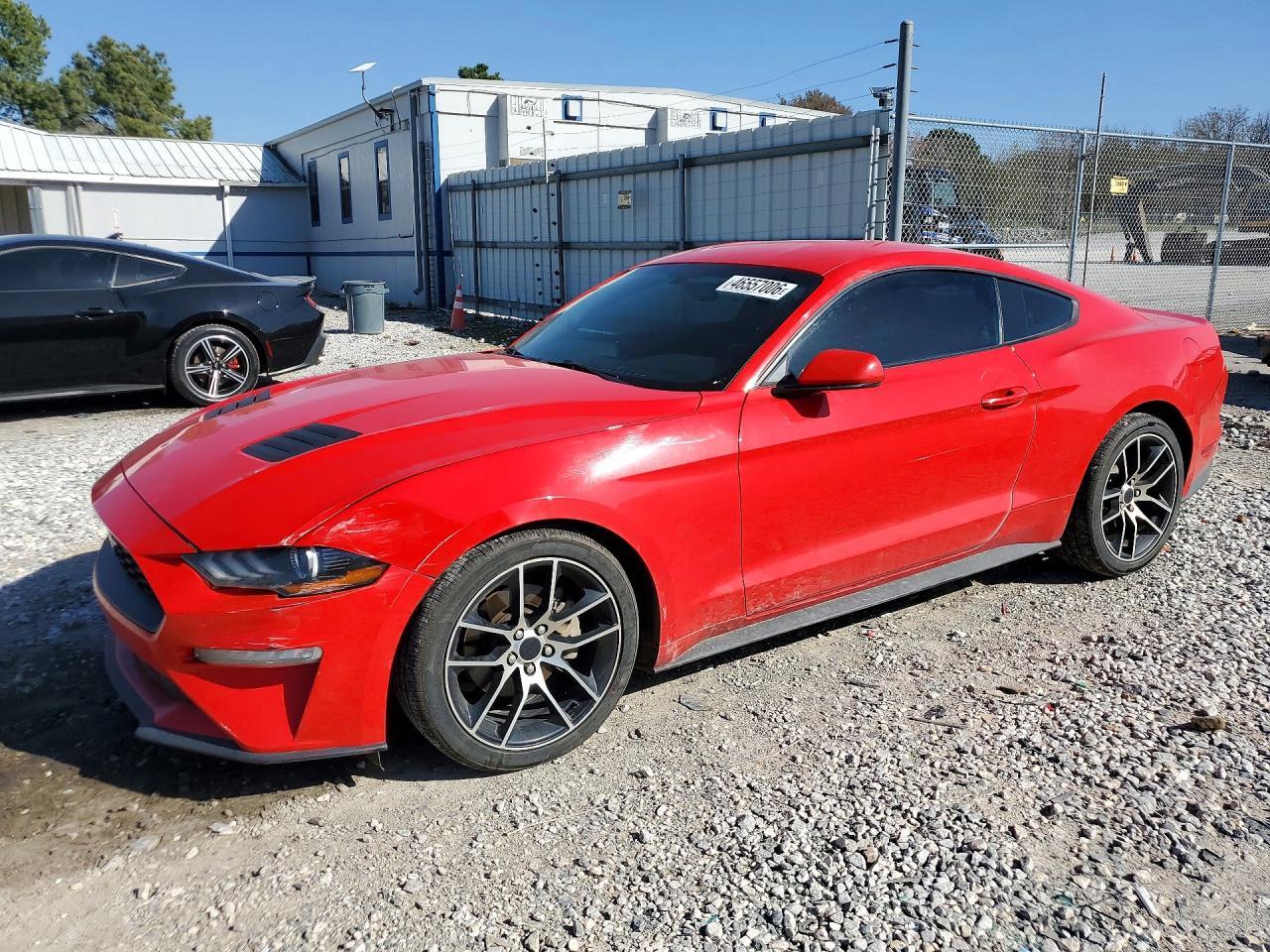 2019 Ford Mustang