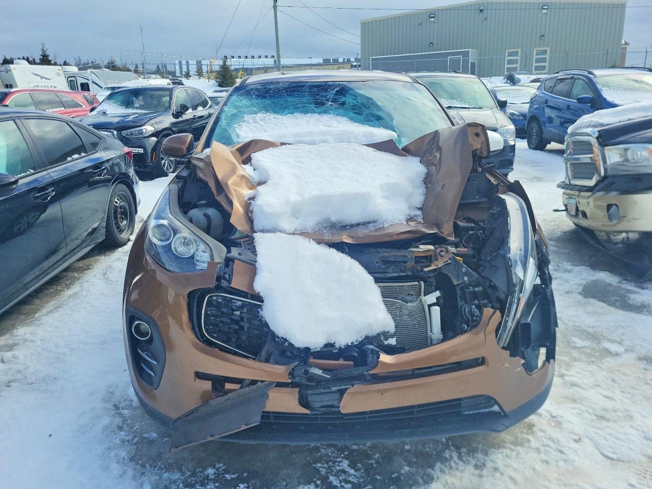 2017 Kia Sportage Lx - Фото 5