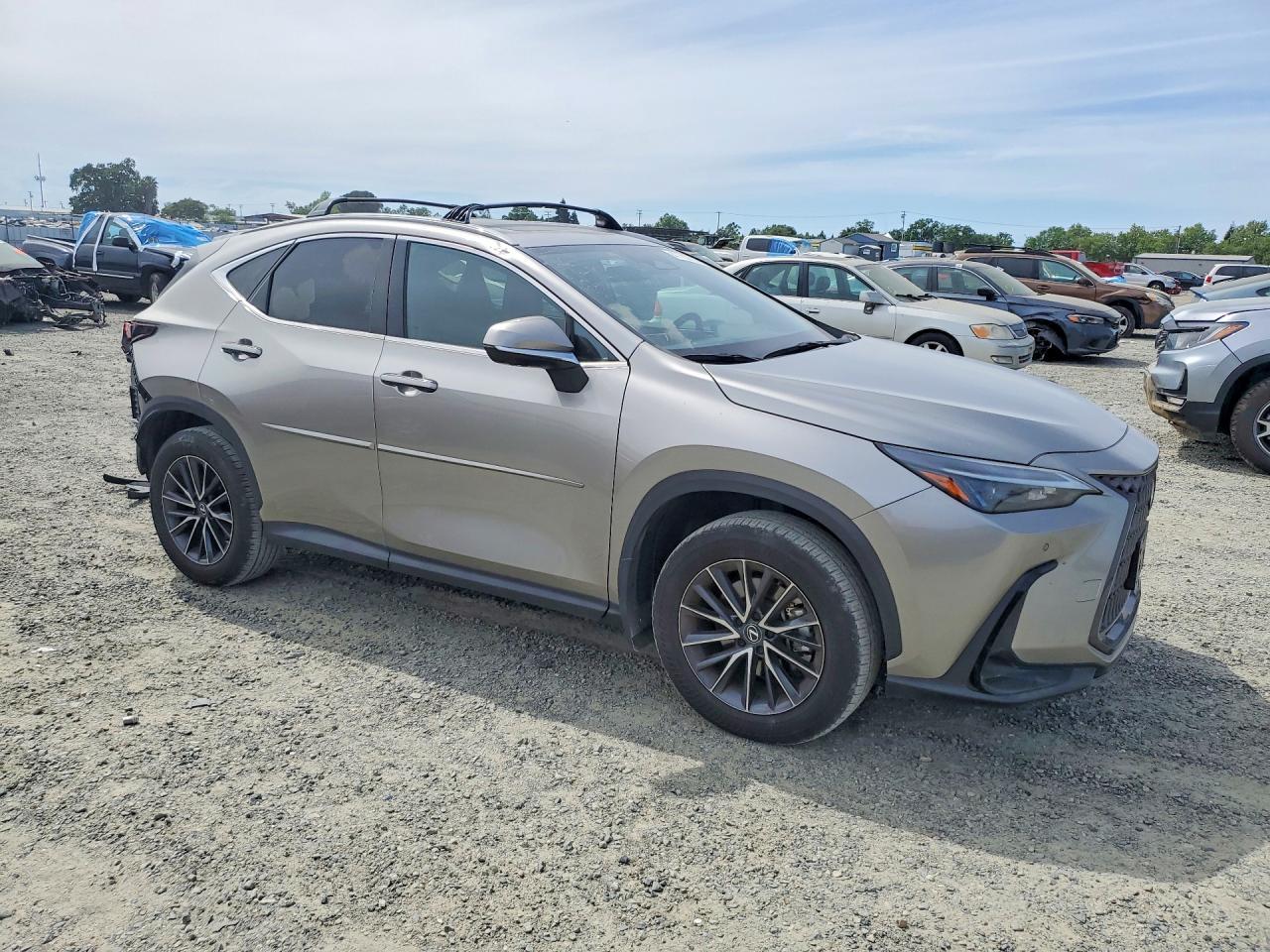 2024 Lexus Nx 350 Premium - Фото 4