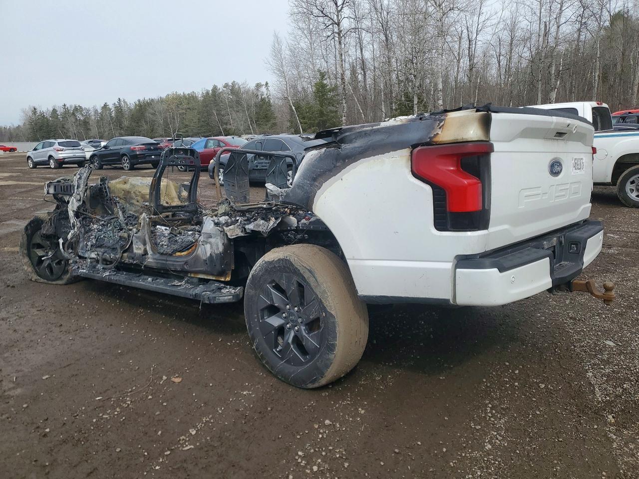 2023 Ford F150 Lightning Pro - Image 2