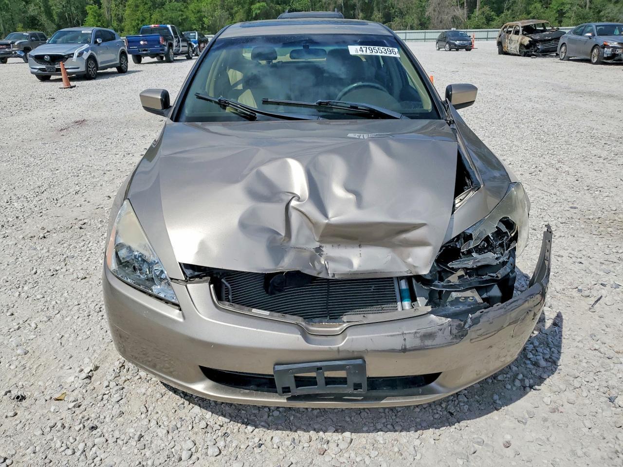 2003 Honda Accord Ex - Фото 5